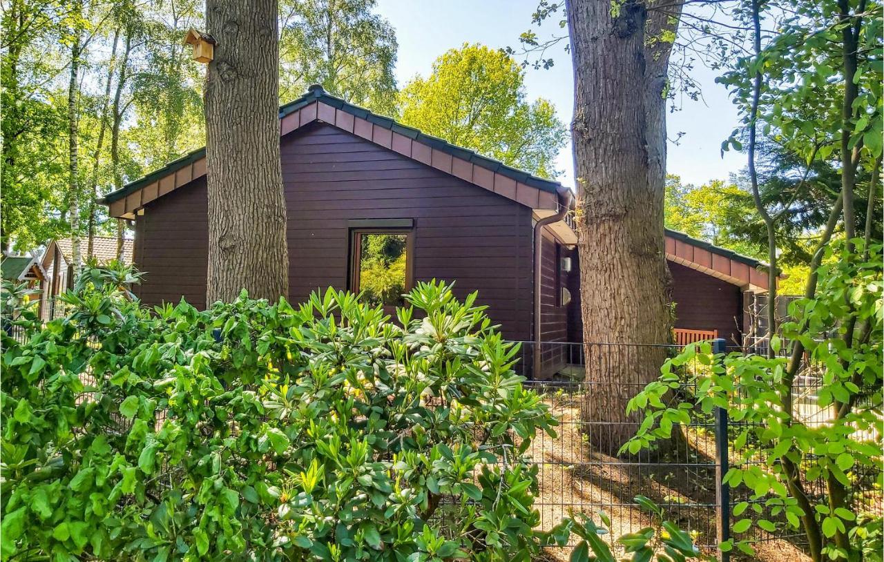 Pet Friendly Home In Haren With Sauna Dankern Zewnętrze zdjęcie