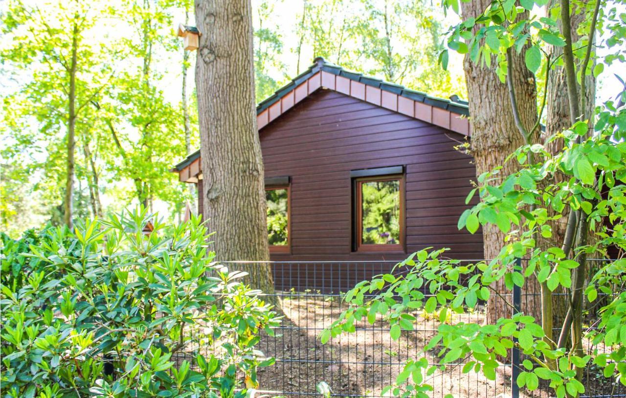 Pet Friendly Home In Haren With Sauna Dankern Zewnętrze zdjęcie