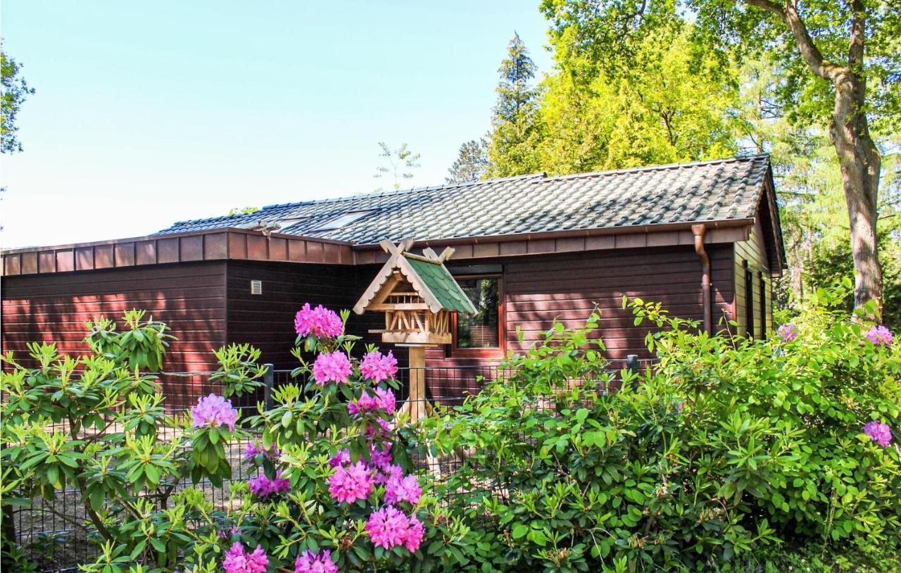 Pet Friendly Home In Haren With Sauna Dankern Zewnętrze zdjęcie